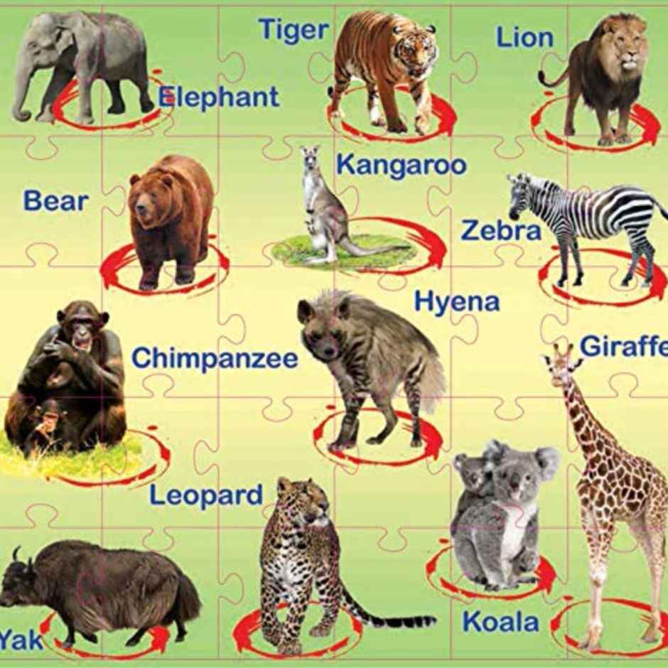 Sterling 2 In 1 Puzzle - Birds & Animals