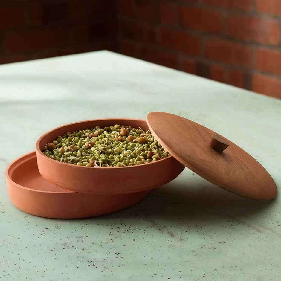 Ellementry Terracotta Sprouter With Wooden Lid