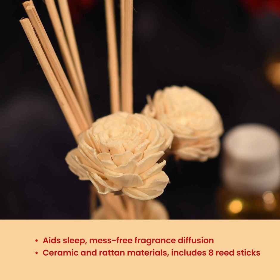 Samsidhi Reed Lavender Oil Diffuser Set