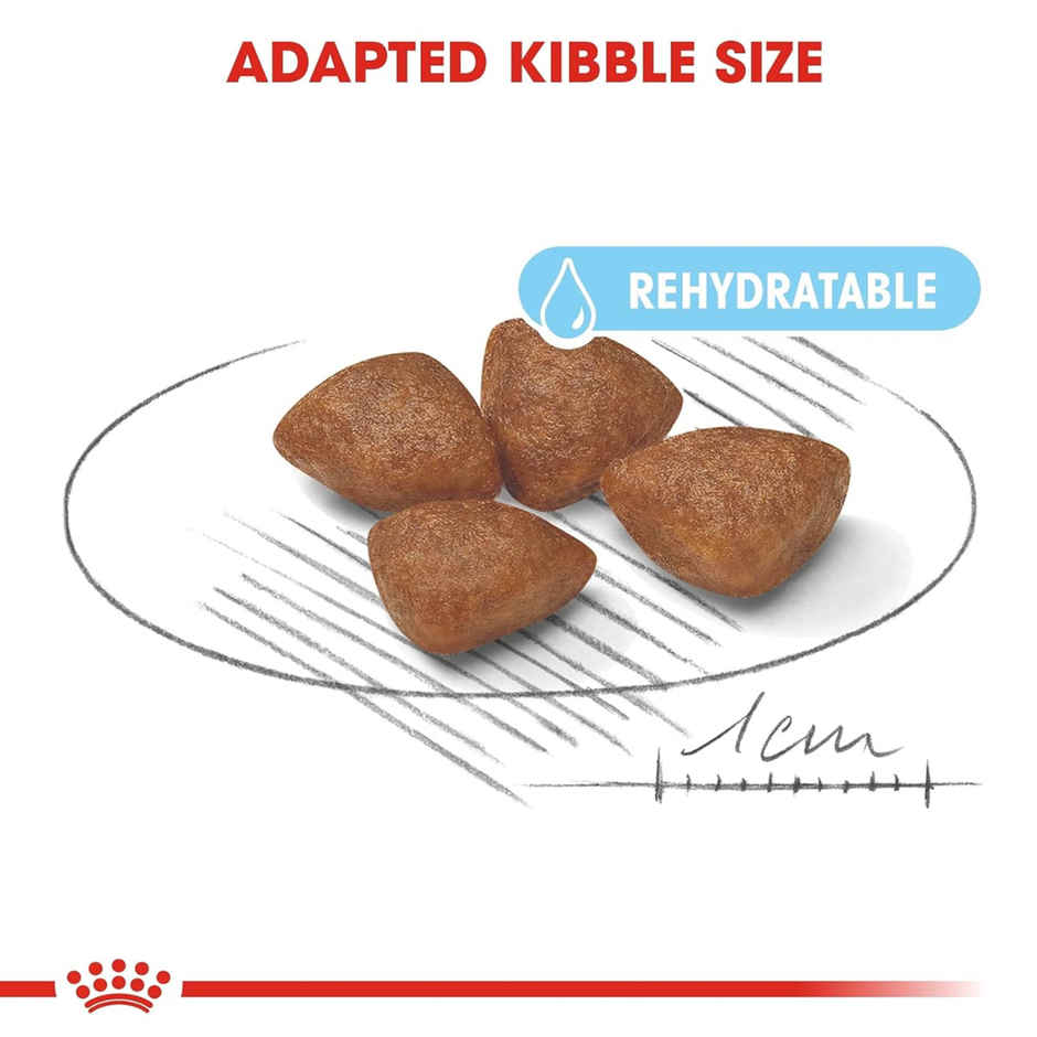 Royal Canin Mini Starter