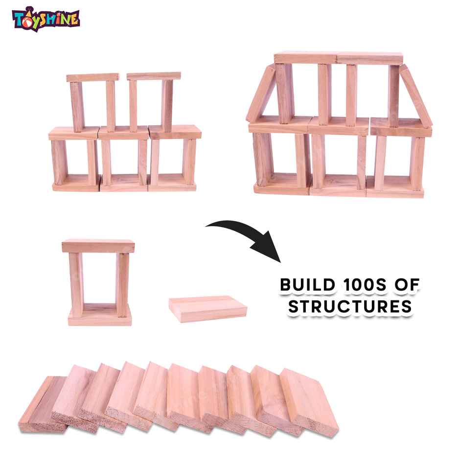 Toyshine 120-Piece Wooden Domino Blocks, Stacking & Racing Game for Kids