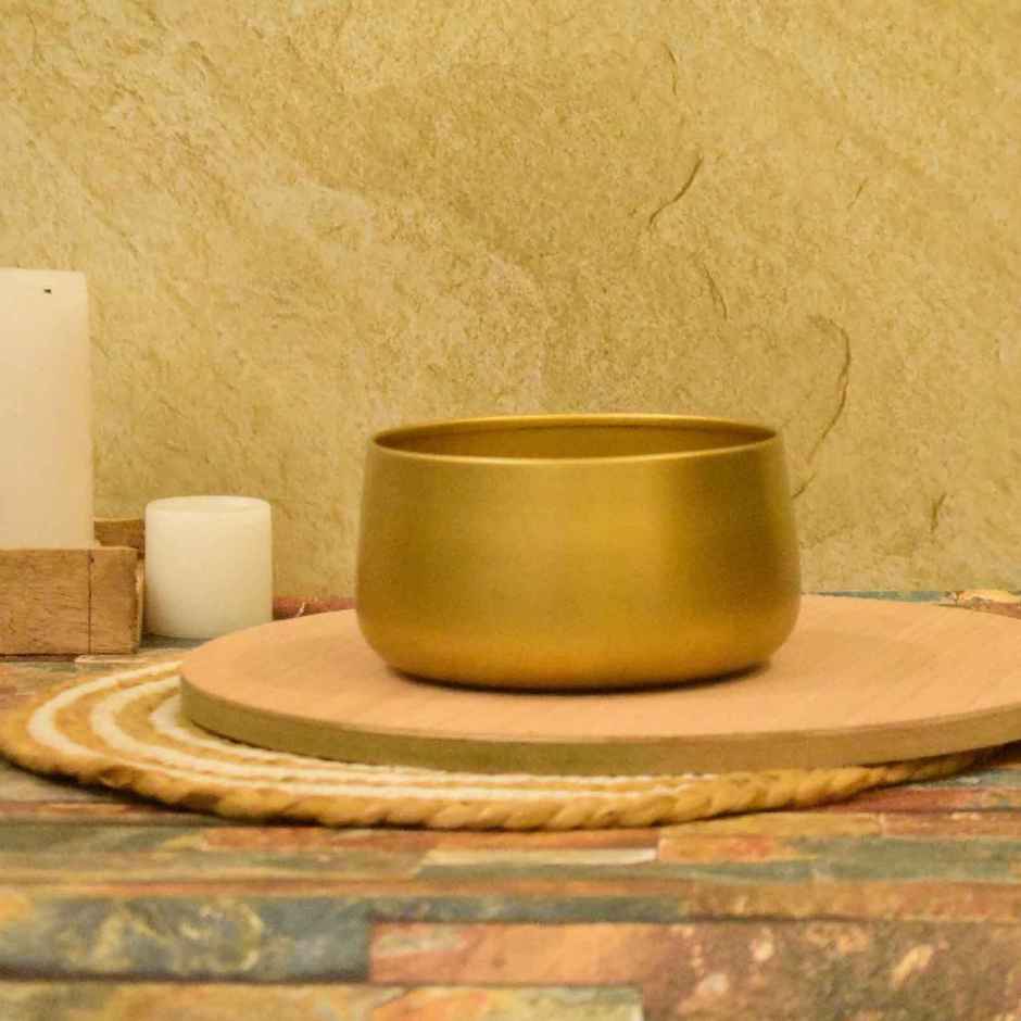CasaCraft Pepperfry Tanner Gold Iron Planter Pot Round Decorative Rust-Resistant for Indoor Plants