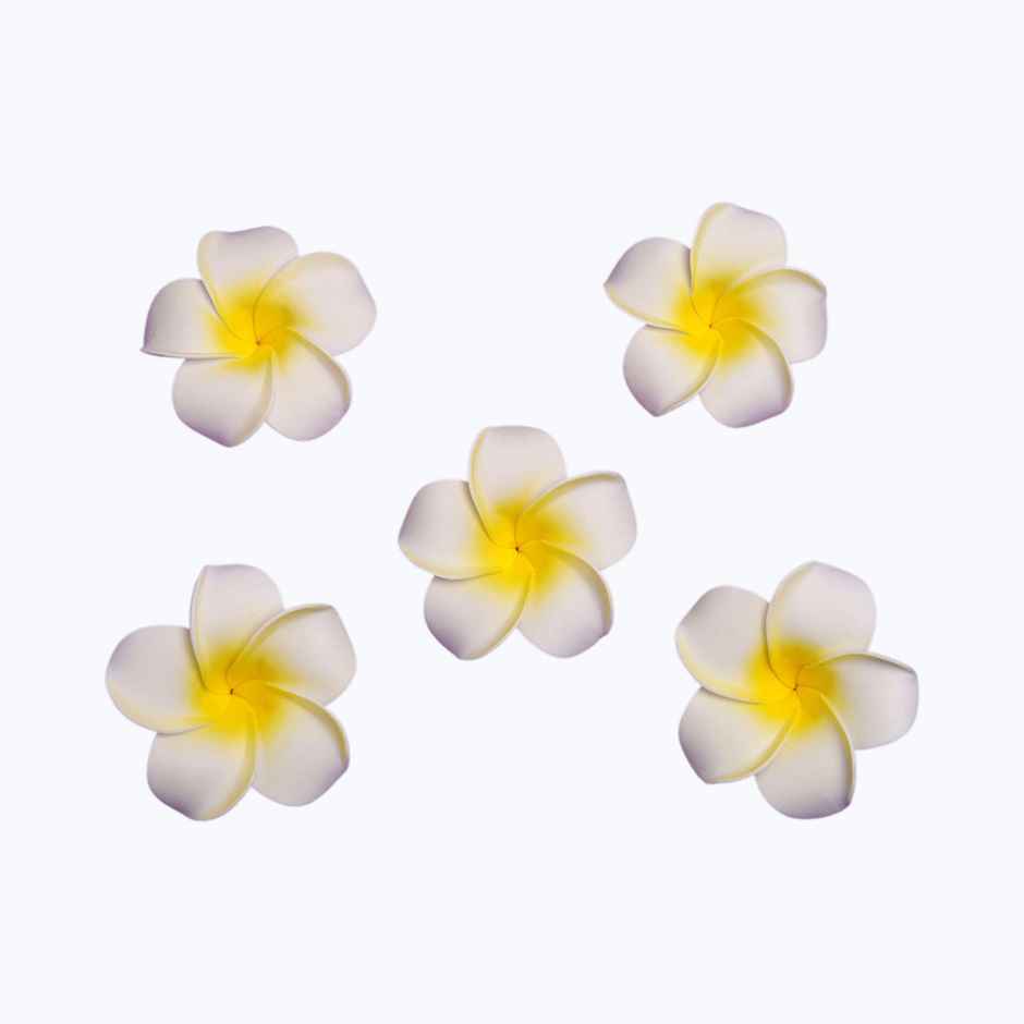 Gullak Floating Frangipani Flower