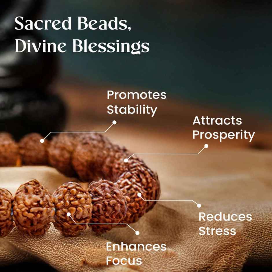 Astrotalk 7 Mukhi Rudraksha Bracelet for Spiritual Wear | Pack of 1