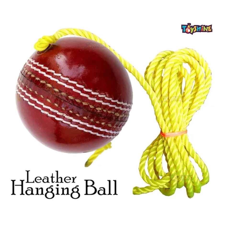 Toyshine Cricket Hanging Ball For Shot Practice, (Leather, Sstp, Red)