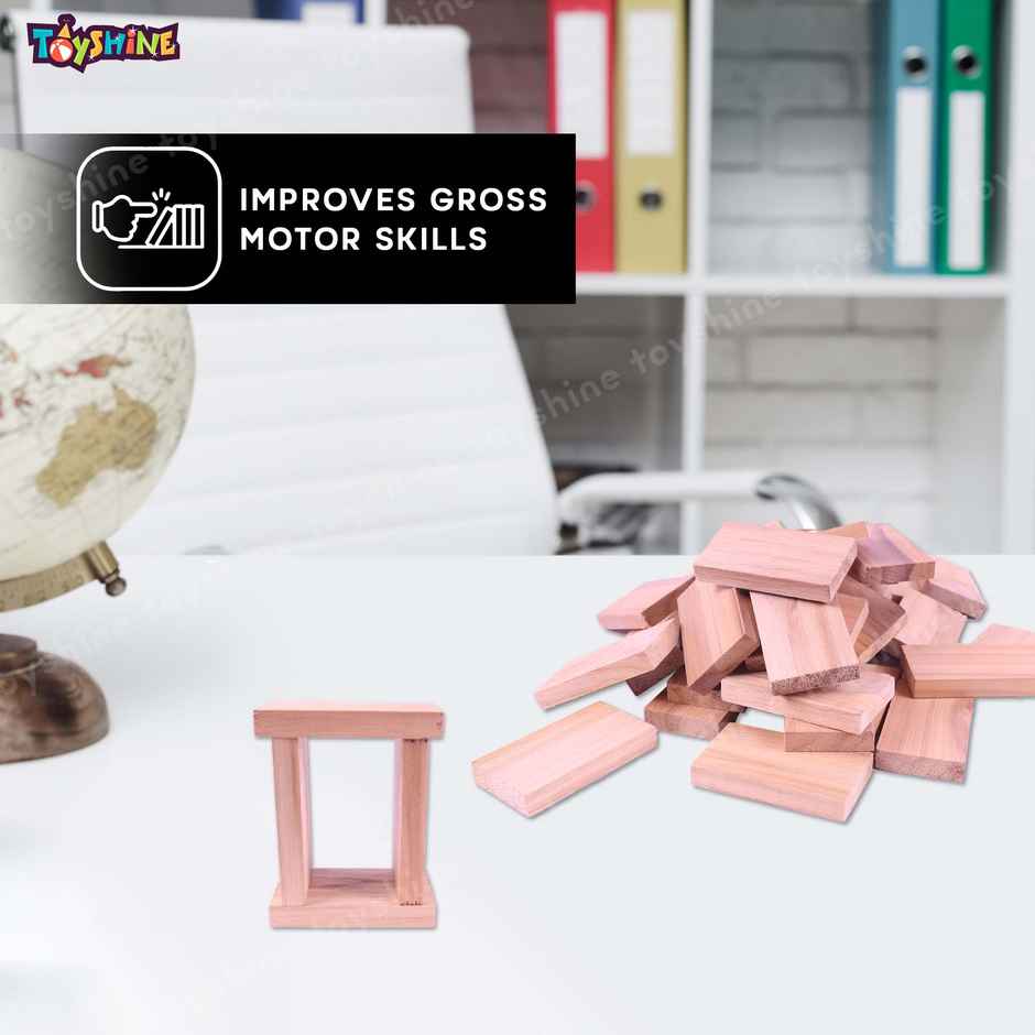 Toyshine 120-Piece Wooden Domino Blocks, Stacking & Racing Game for Kids