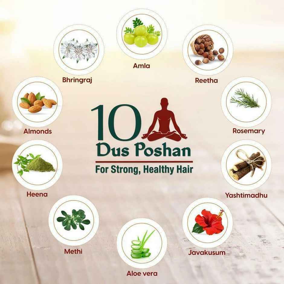 Dabur Vatika Ayurvedic Shampoo, Damage Therapy With 10 Natural Herbs