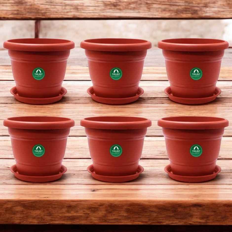 Cylindrical Plastic Plant Pot With Saucer | 8 inch | Brown