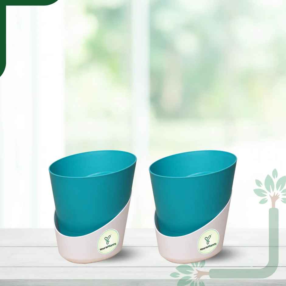 Yoursplants Atlantis - 4 Inch Teal Pot | Pack Of 2