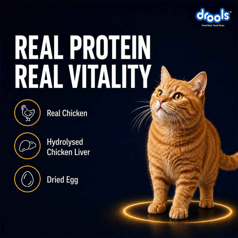 Drools Chicken Mousse Adult Cat Wet Food, 80g (4+1 Free Pack)