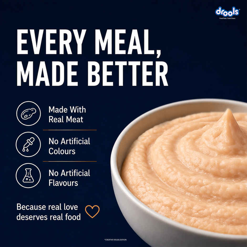 Drools Salmon Mousse Adult Cat Wet Food, 80g (4+1 Free Pack)