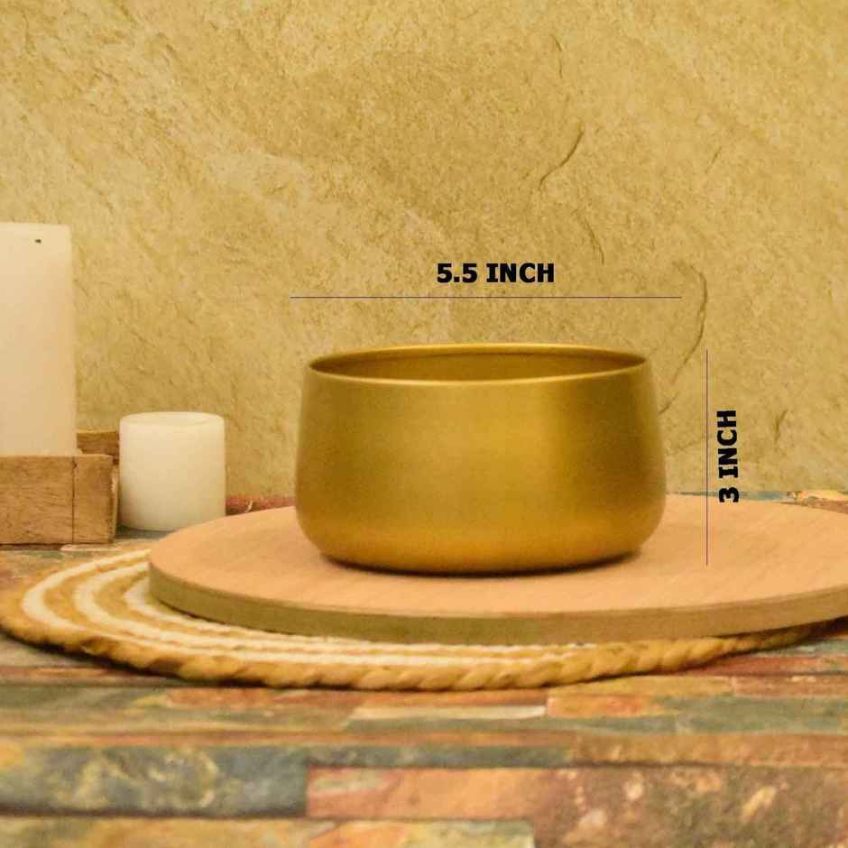 CasaCraft Pepperfry Tanner Gold Iron Planter Pot Round Decorative Rust-Resistant for Indoor Plants