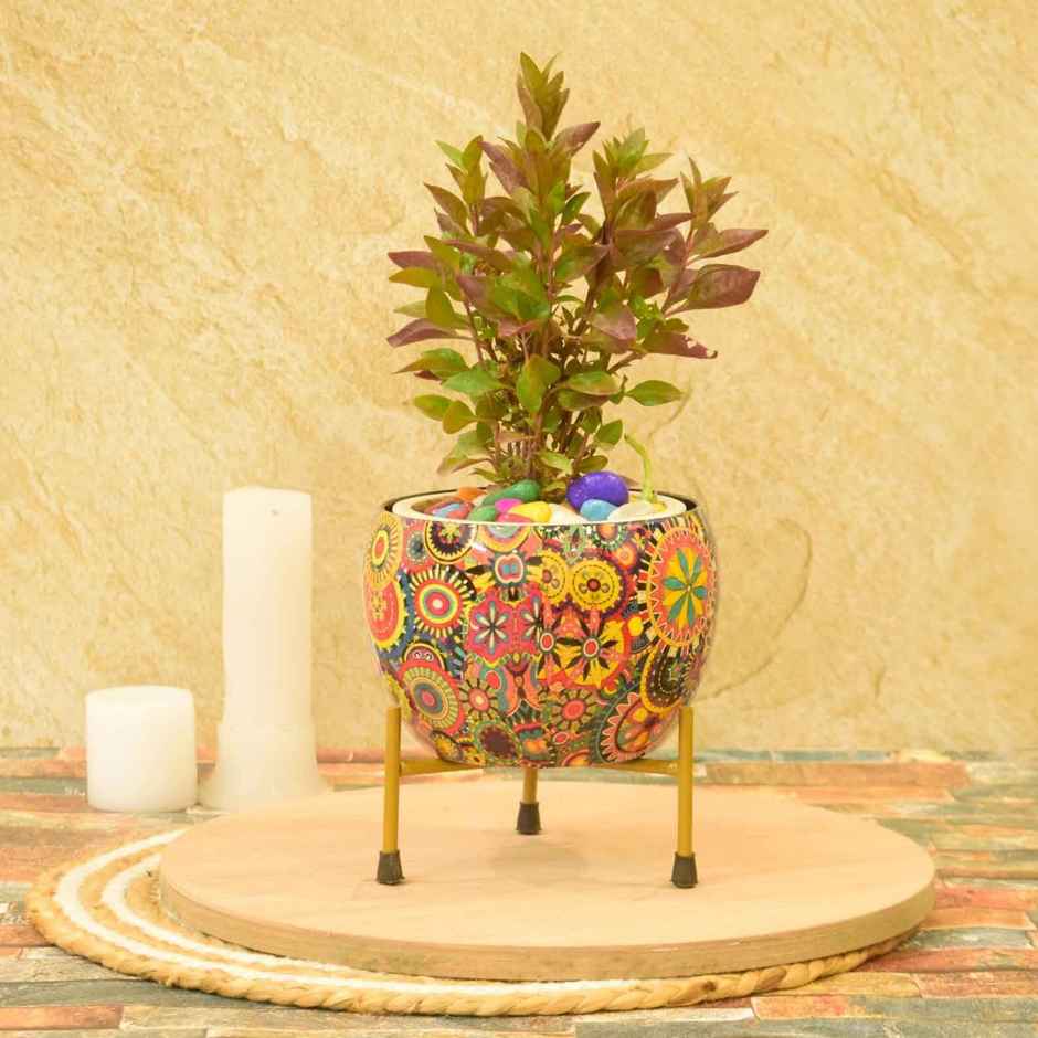 Casacraft by Pepperfry Desk Pot | Multicolor Flowers Design