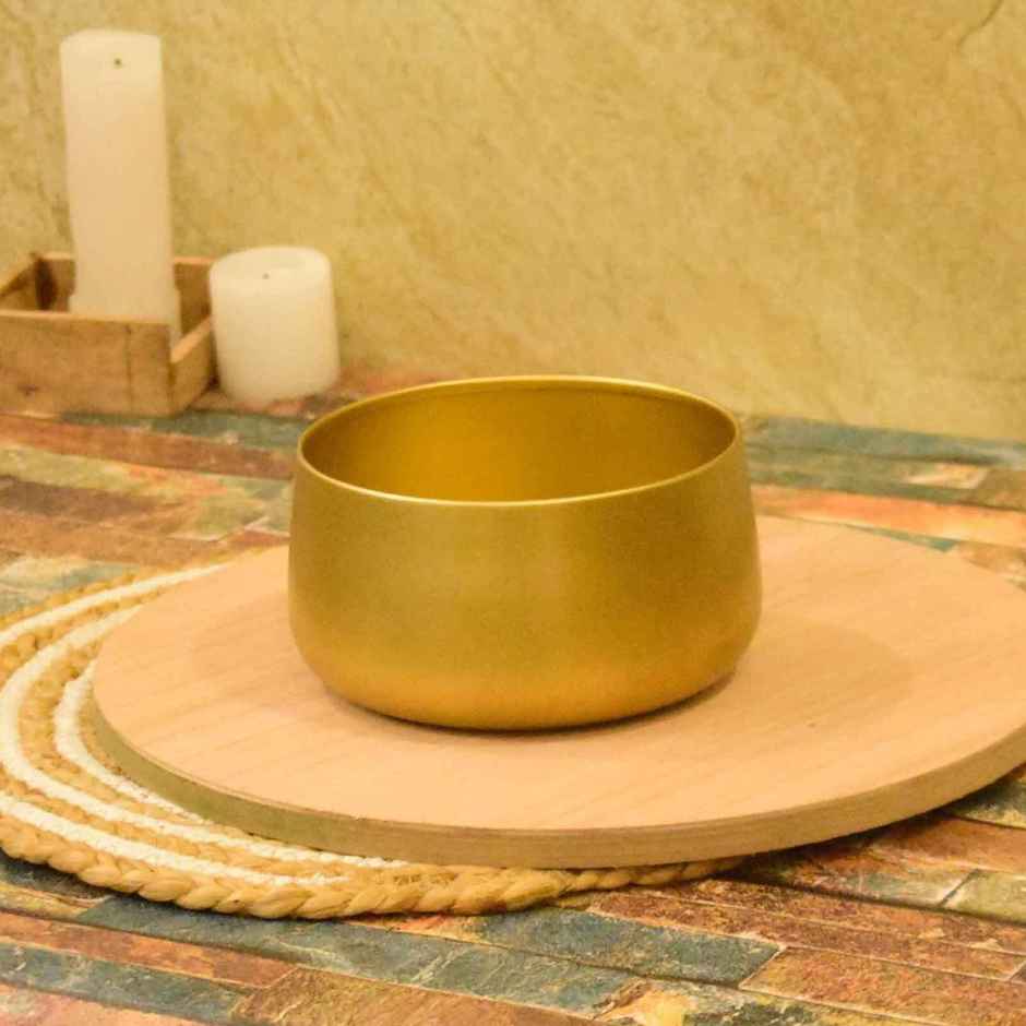 CasaCraft Pepperfry Tanner Gold Iron Planter Pot Round Decorative Rust-Resistant for Indoor Plants