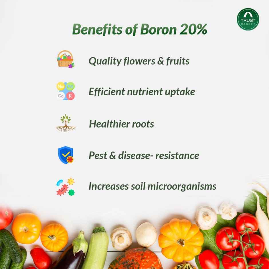 TrustBasket Boron Fertilizer | 20% Boron Water-Soluble Mix for Growth & Flowering