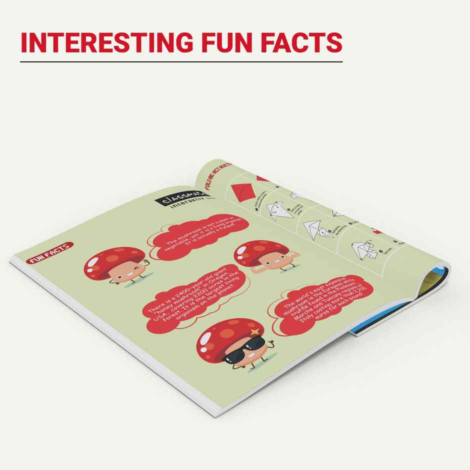 Classmate Origami Craft Notebook| Assorted - 2661001