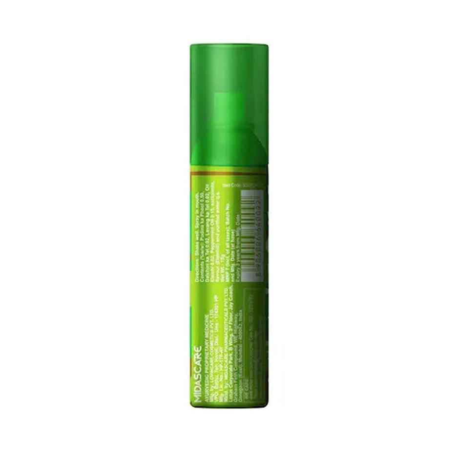 Spraymintt (Elaichi) Mouth Freshener Spray