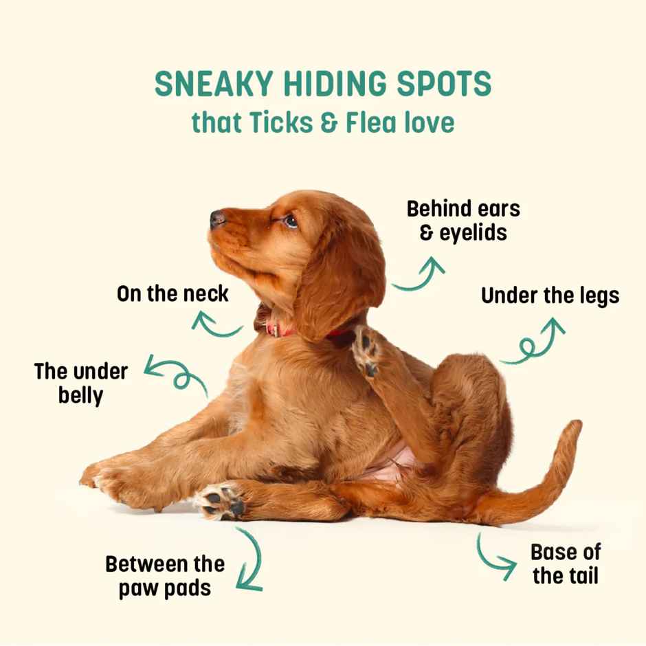 HUFT Anti Tick & Flea Pet Powder