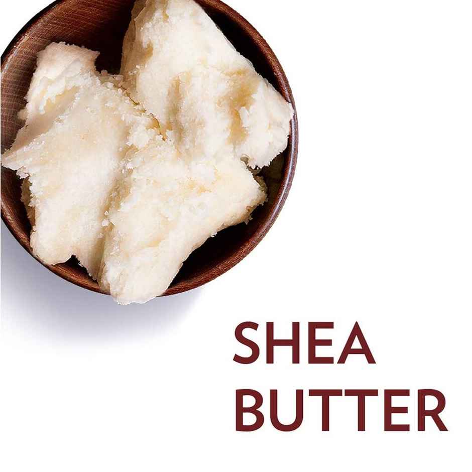 Vaseline Lip Care Cocoa Butter