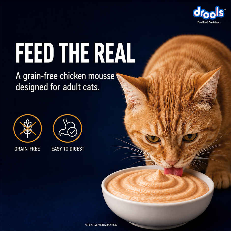Drools Chicken Mousse Adult Cat Wet Food, 80g (4+1 Free Pack)