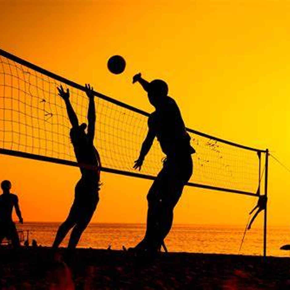 Mittal Sports Volleyball