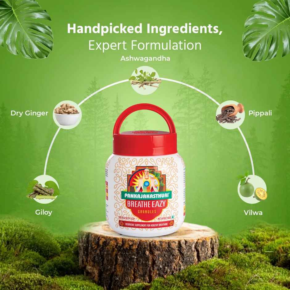 Pankajakasthuri Breathe Eazy Granules 400g