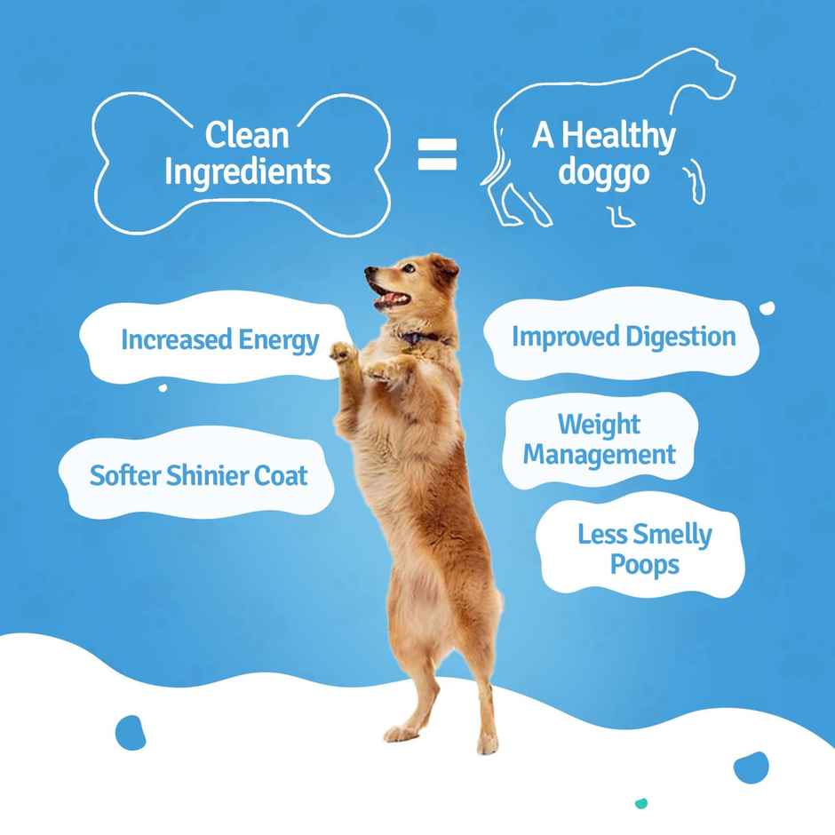 BLEP 100% Natural Chicken Dog Food | 4 Recipes | 4 Packs | Zero Preservatives