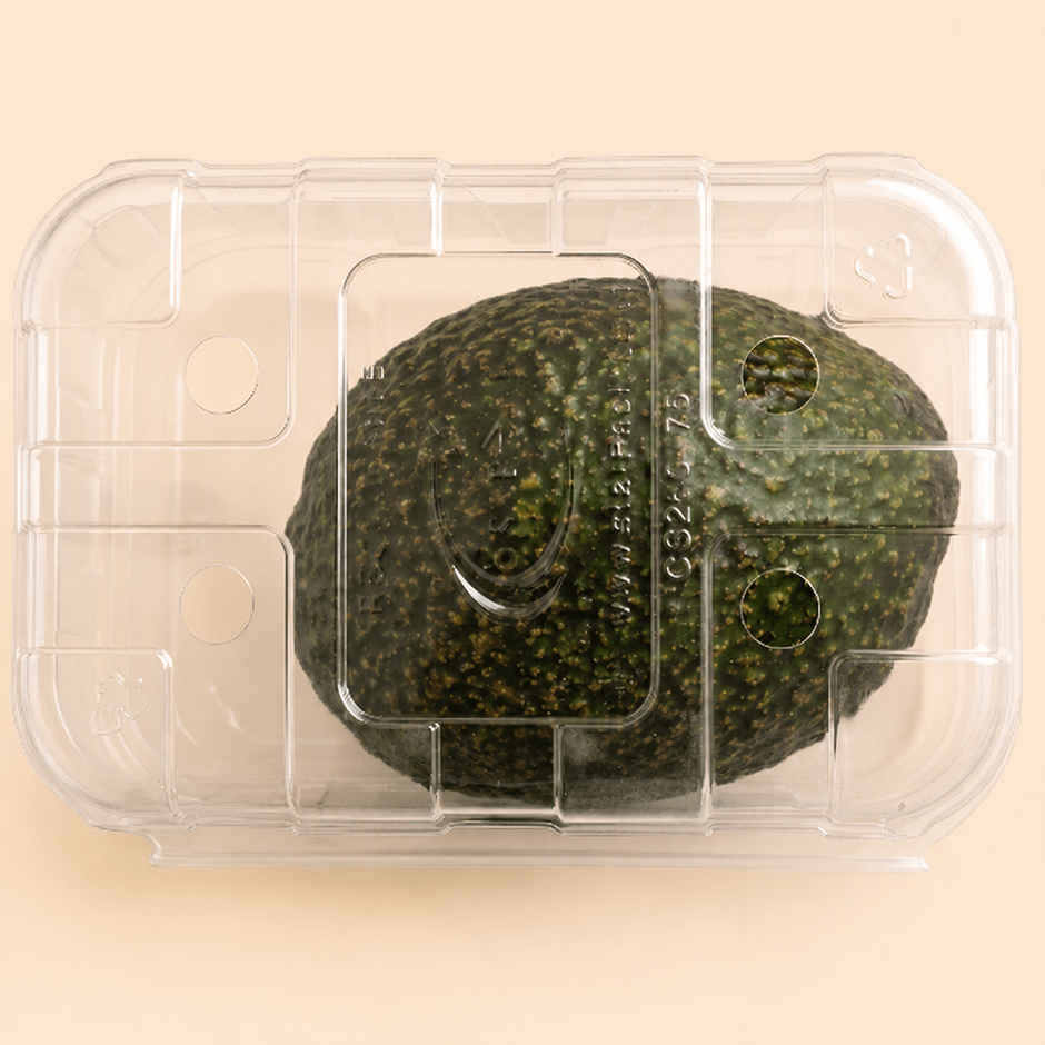 Snacky Avocado Regular 