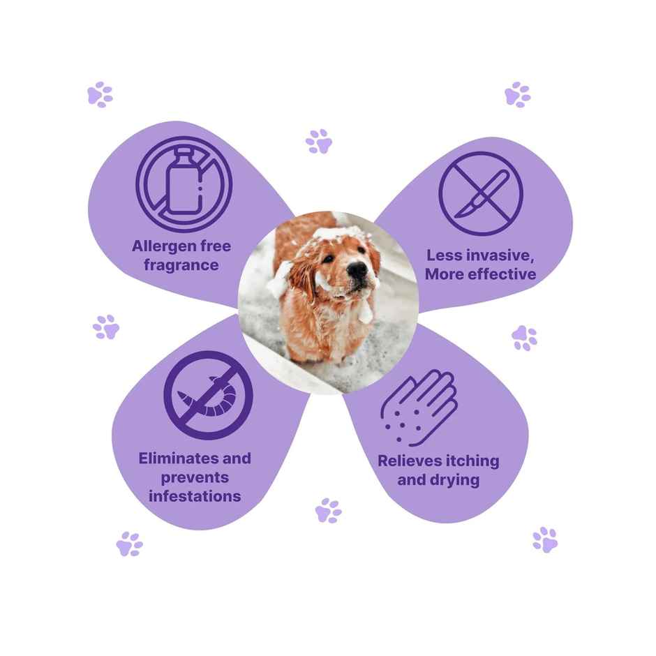 Nootie Tea Tree Oil Shampoo For Dog & Puppies