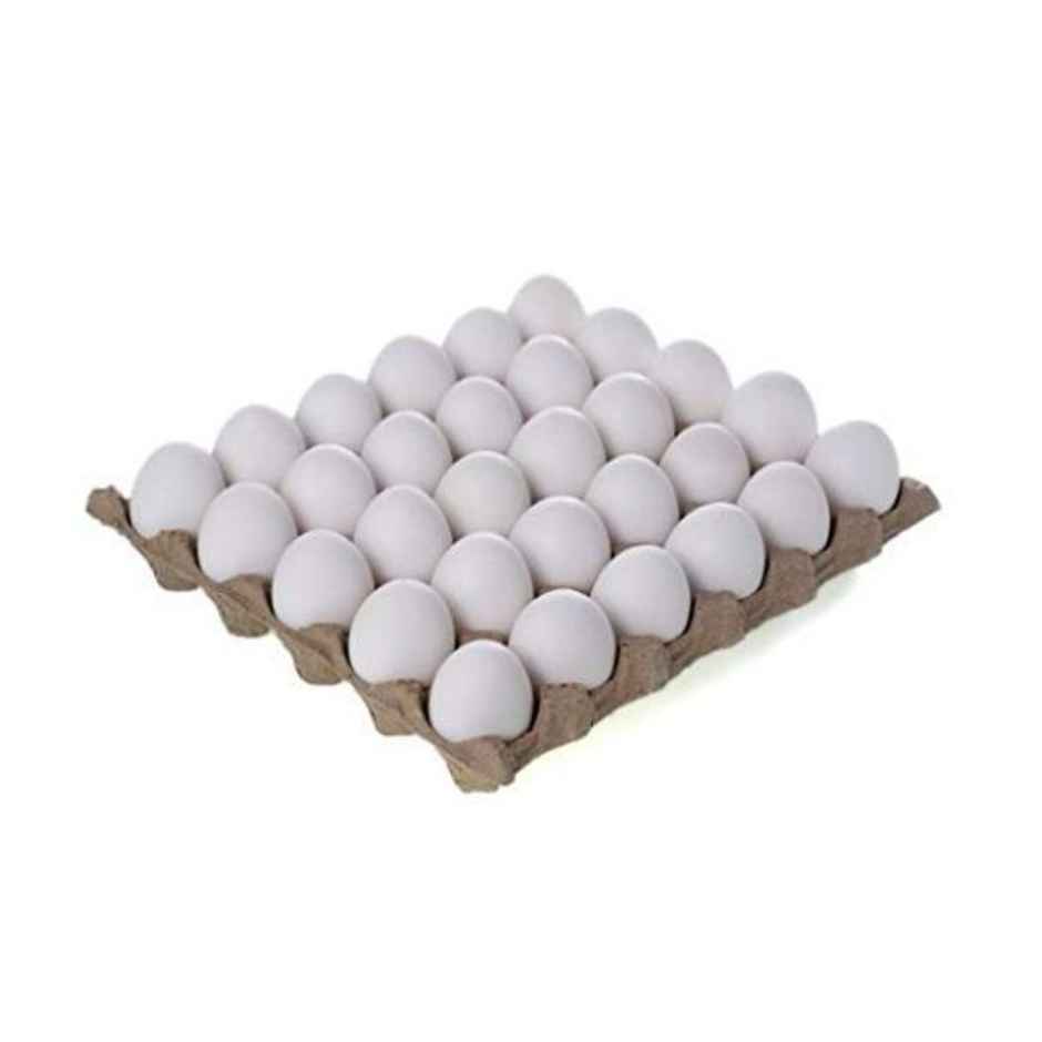 Eggee Omega 3 Provita+ White Eggs Tray