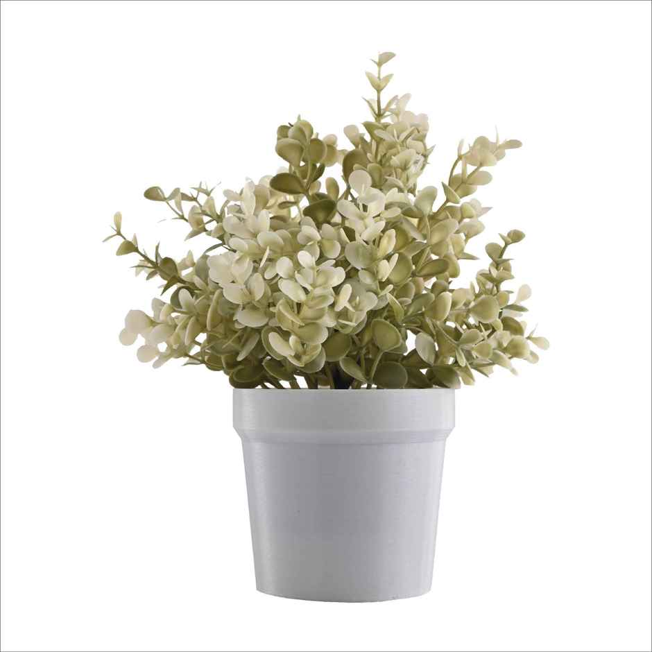 Kuber Industries Plastic Small Artificial Plants with Pot | Flower 80 - White