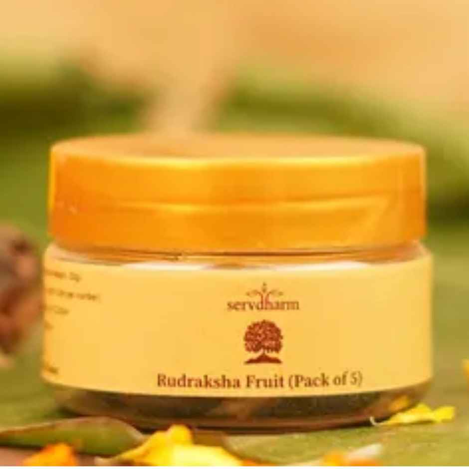 Servdharm Rudraksha Fruit - Pack Of 5