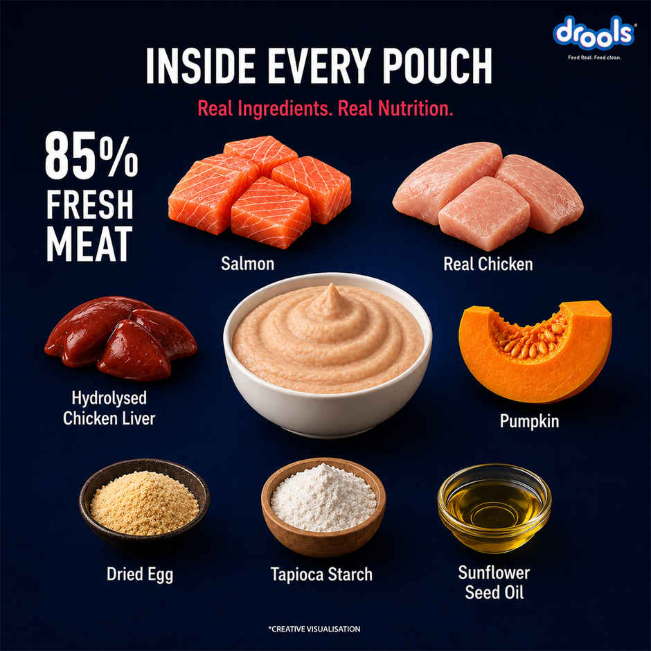 Drools Salmon Mousse Adult Cat Wet Food
