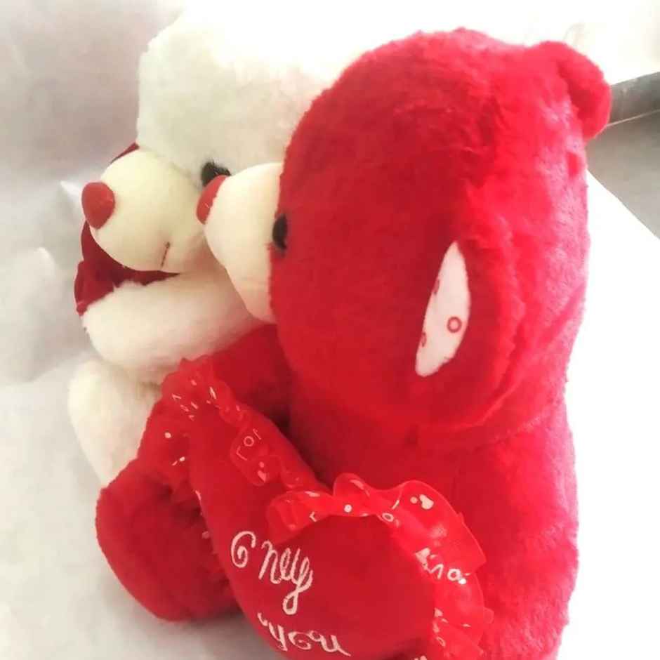 Sterling Loving Teddy Set (6411) - Assorted Colour & Design