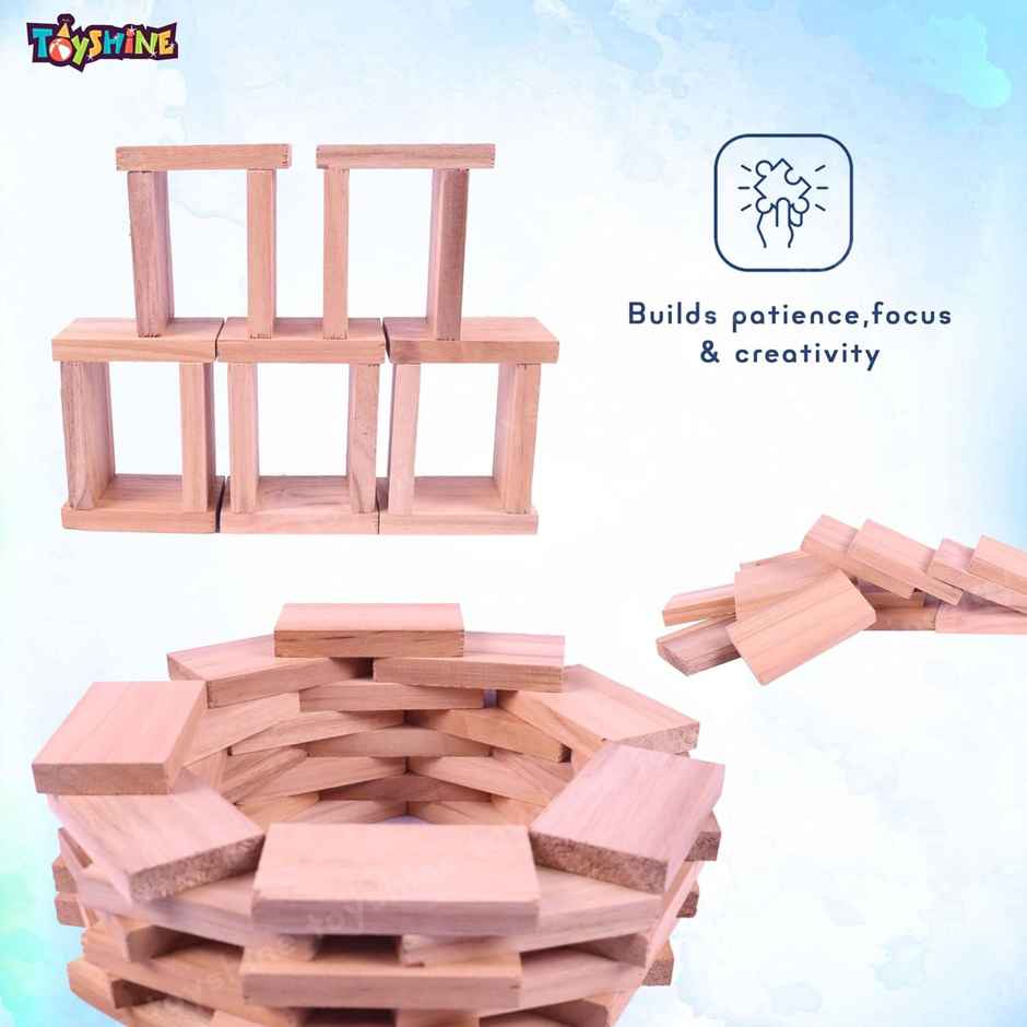 Toyshine 40-Piece Wooden Domino Blocks, Stacking & Racing Game for Kids