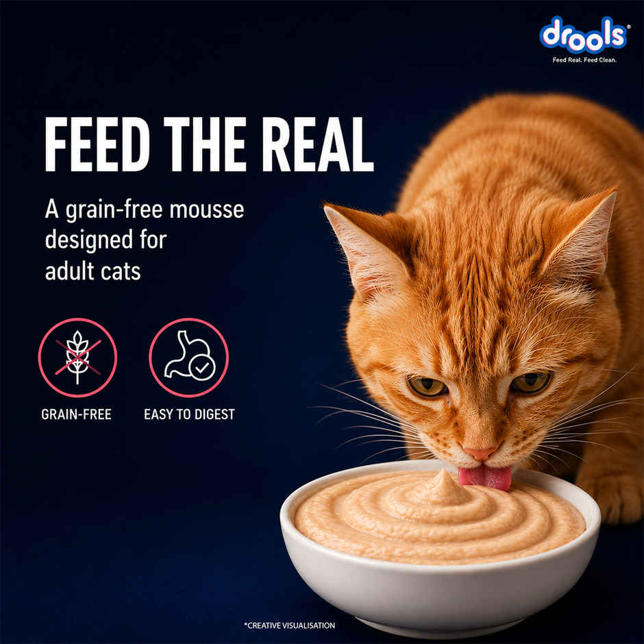 Drools Salmon Mousse Adult Cat Wet Food, 80g (4+1 Free Pack)
