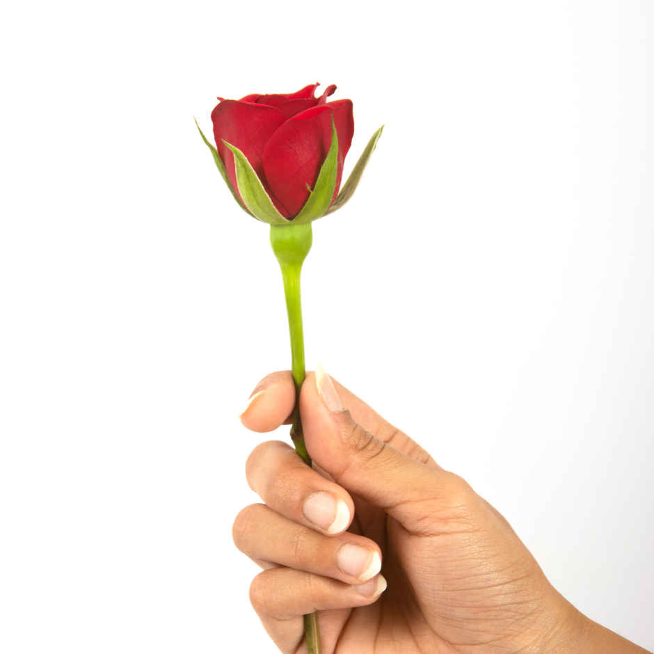Single Rose Combo