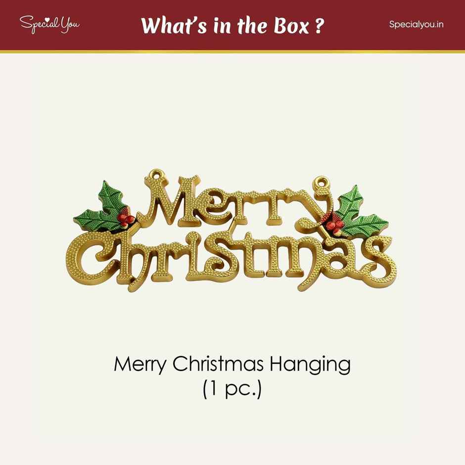 Merry Christmas Decoration for Door & Tree | Special You
