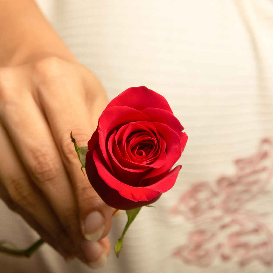 Single Rose Combo