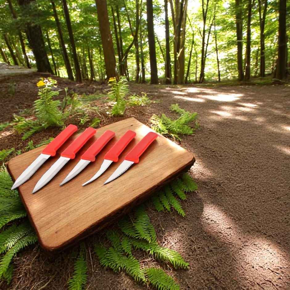 Capsicum Multi-Purpose Fruit & Vegetable Classy Knife Set (Multi color, Set of 5)