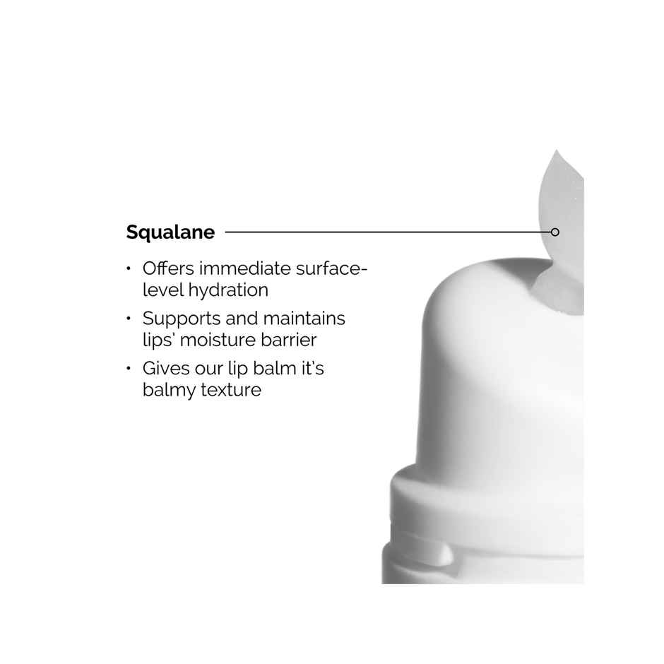 The Ordinary Niacinamide 10% + Zinc 1% (60ml) & The Ordinary Squalane Cleanser (50ml) & The Ordinary Squalane + Amino Acids Lip Balm (15ml) Combo