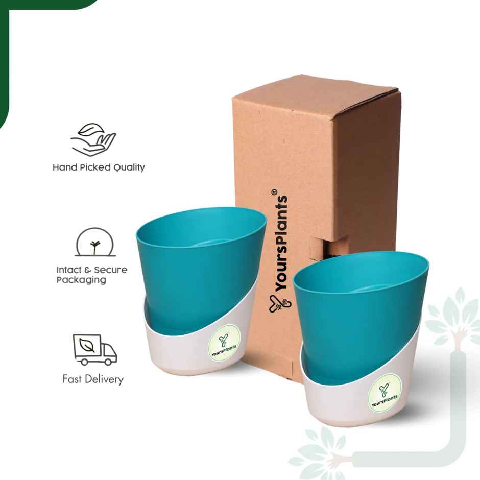 Yoursplants Atlantis - 4 Inch Teal Pot | Pack Of 2