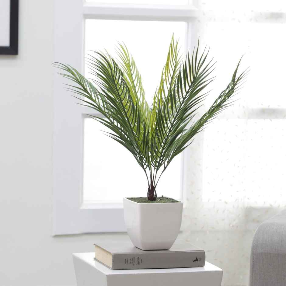 Casacraft by Pepperfry PVC Artificial Areca Plant | Without Pot