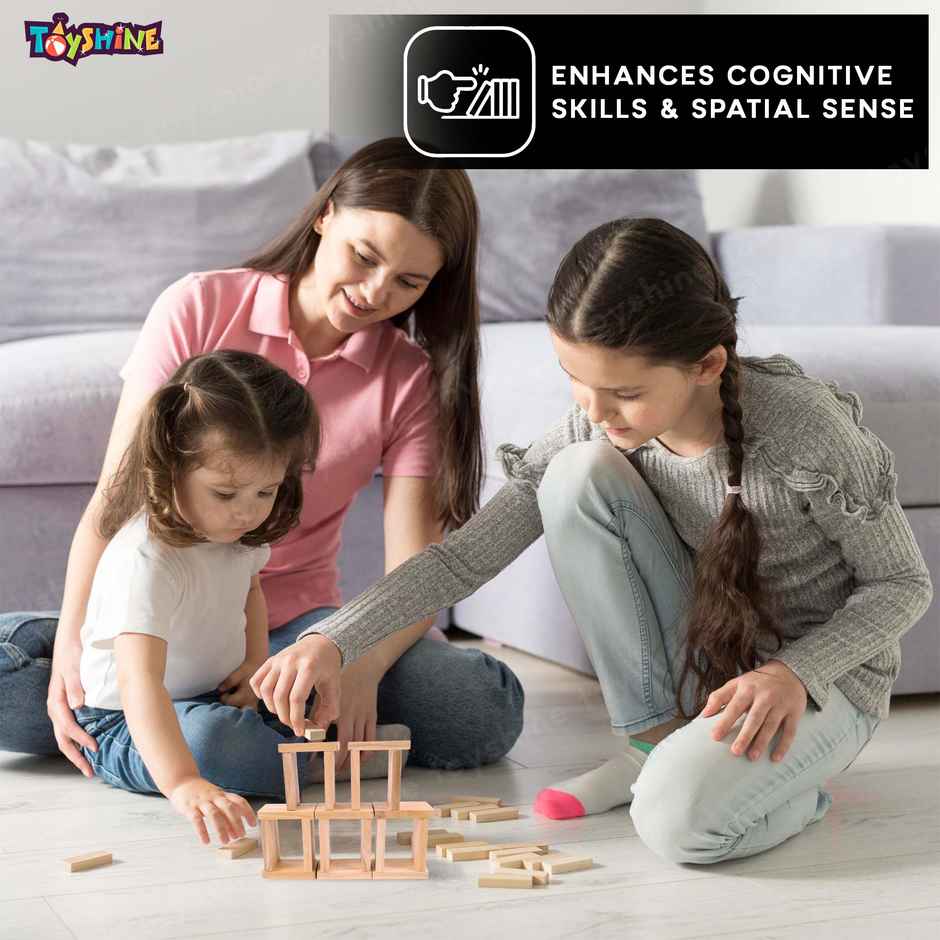 Toyshine 120-Piece Wooden Domino Blocks, Stacking & Racing Game for Kids