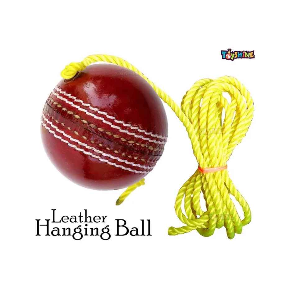 Toyshine Cricket Hanging Ball For Shot Practice, (Leather, Sstp, Red)