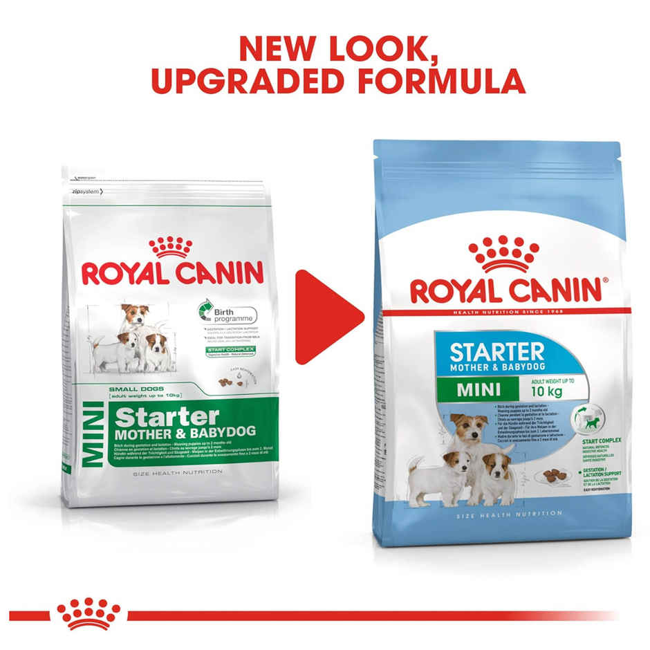 Royal Canin Mini Starter