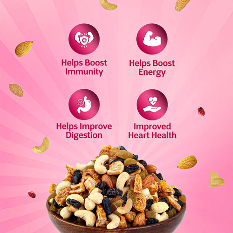 True Elements Premium Dry Fruits Mix Panchmeva Superfood