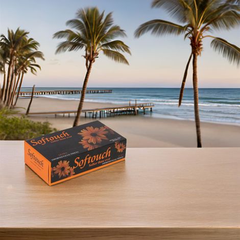 Softouch Face Tissue 100 Pulls 2 Ply 200 sheets