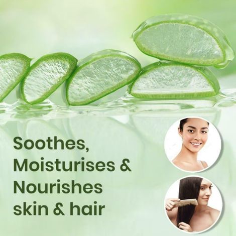 BoroPlus 100% Organic Aloe Vera Gel