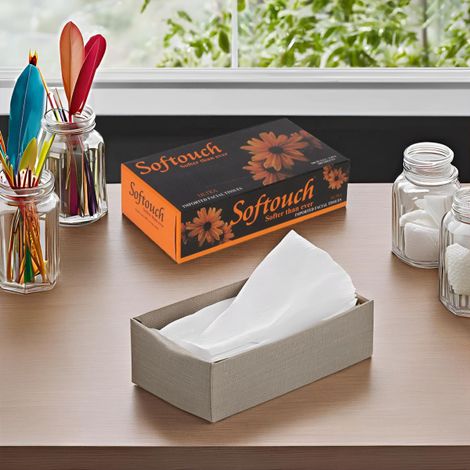 Softouch Face Tissue 100 Pulls 2 Ply 200 sheets